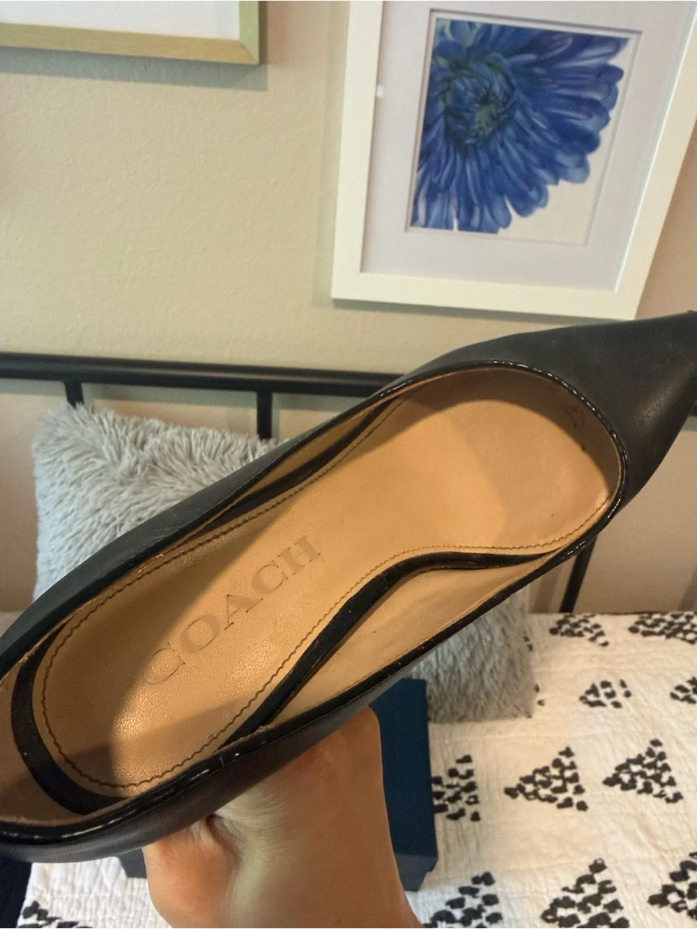 Coach Black Pointed-Toe Leather Pumps